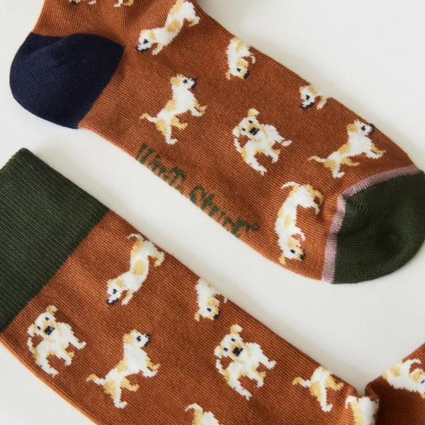 White Stuff Ollie Dog Sock - Red Multi 1 White Stuff Ollie Dog Sock - Red Multi