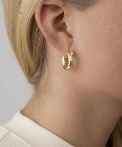 Anni Lu Gold Gem In A Hoop Earrings