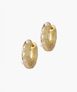 Anni Lu Gold Gem In A Hoop Earrings
