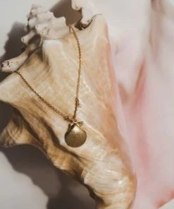 Anni Lu Ray Shell Necklace